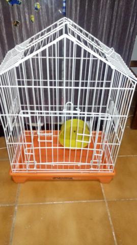 Vendo gaiola para calopsita/ papagaio