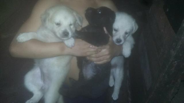 Doação responsável