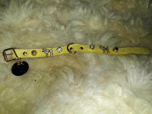 Pet chique  usa griff $85 preta e $65 amarela