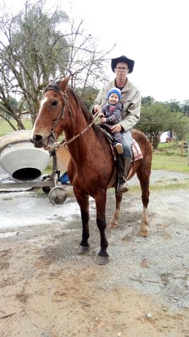 Troco cavalo por ar split, cavalo de 10 anos quarto de milha