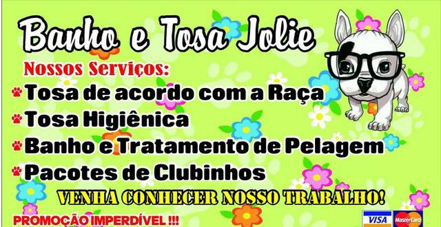 Banho e tosa Jolie!