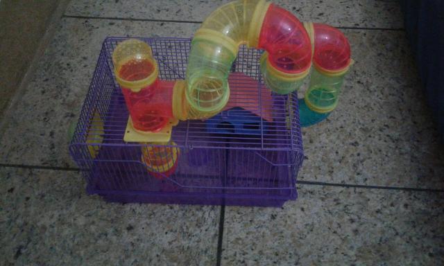 Gaiola para hamister