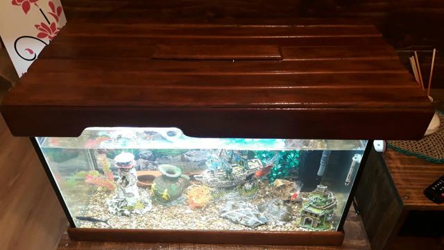 Aquário completo