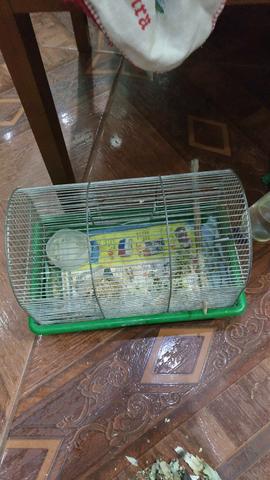 Troco gaiola de ramister