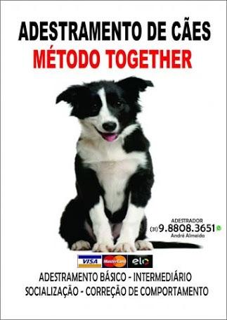 Adestramento de cães Método Together