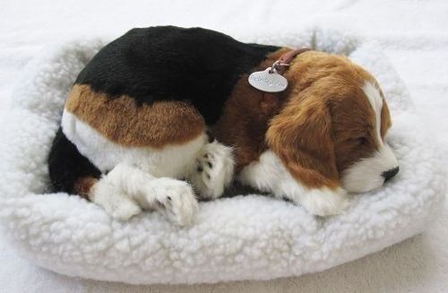 Cachorro Beagle Que Respira Perfect Petzzz Pelúcia