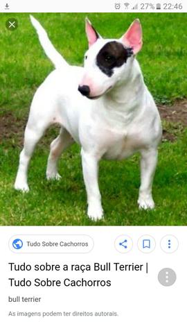 Doação leia o anúncio. pra entender