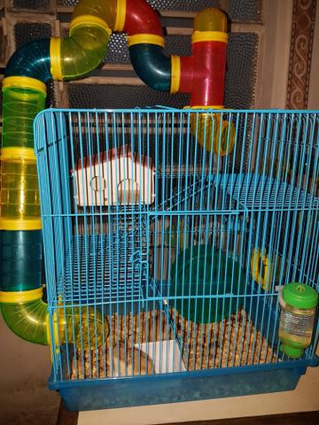 Gaiola para hamsters