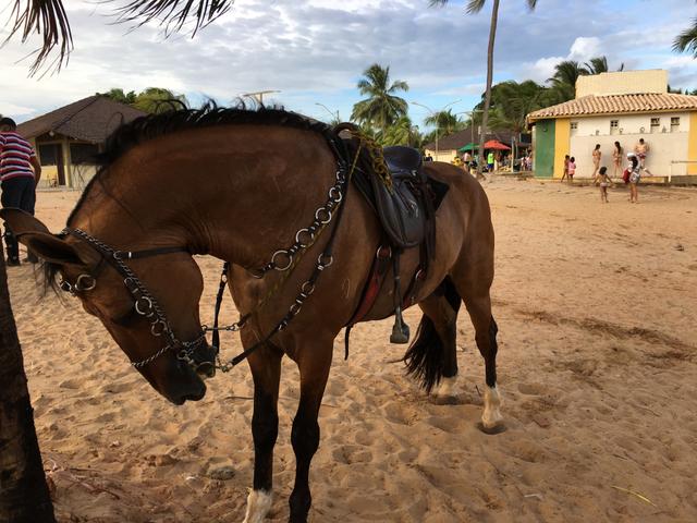 Júpiter da serra azul