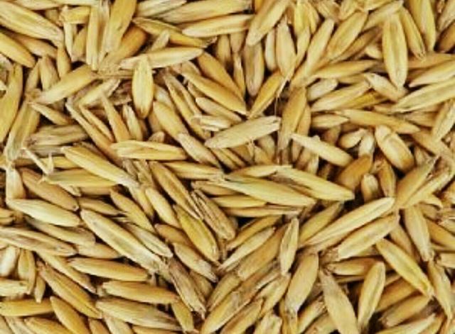 Aveia de excelente qualidade. 0.84 k