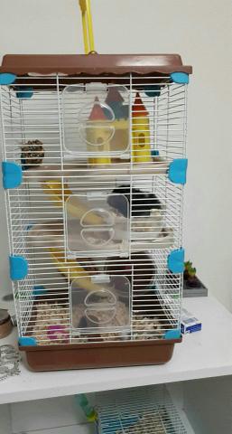 Doação de hamster com gaiola de 3 andares