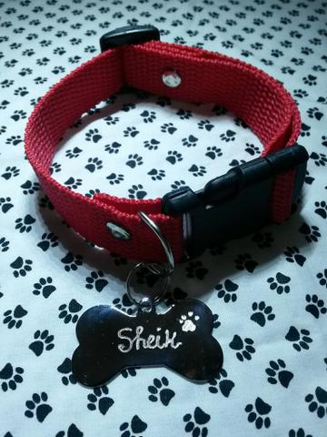 Plaquinhas de identificação com gravação e coleira