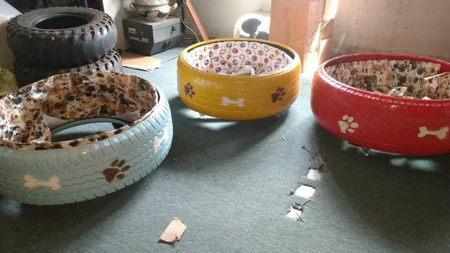 A ultima moda do seu cachorro