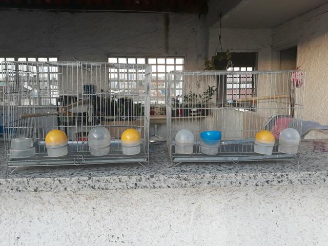 Duas gaiolas com bebedouros