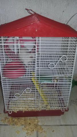 Gaiola 2 andares para hamster com ratinha branca dócil