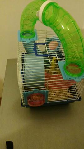 Casinha de hamster