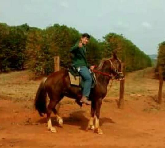 Cavalo Paulista, Marcha Batida 7 anos