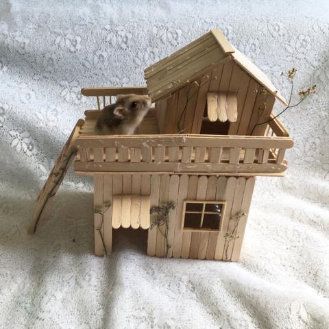 Casa de hamster
