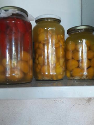 Conserva de Piqui