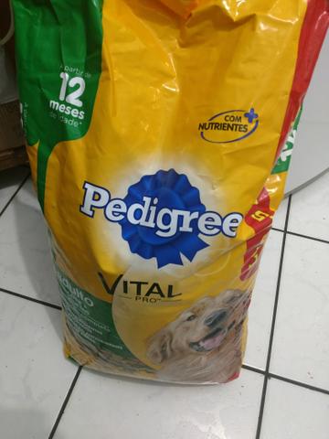Ração pedigree