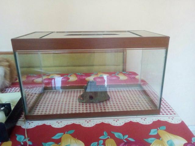 Aquario 37 Litros