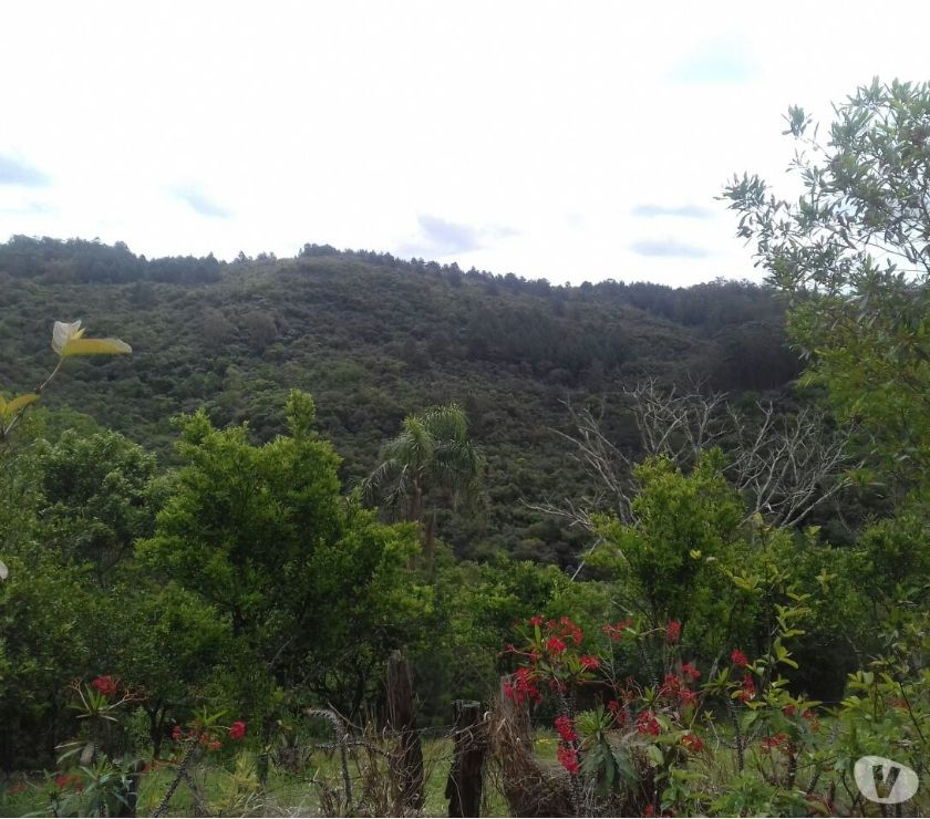 Chácara  m² - Morungava - Gravataí - RS