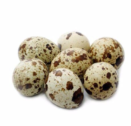 Ovos galados de codornão