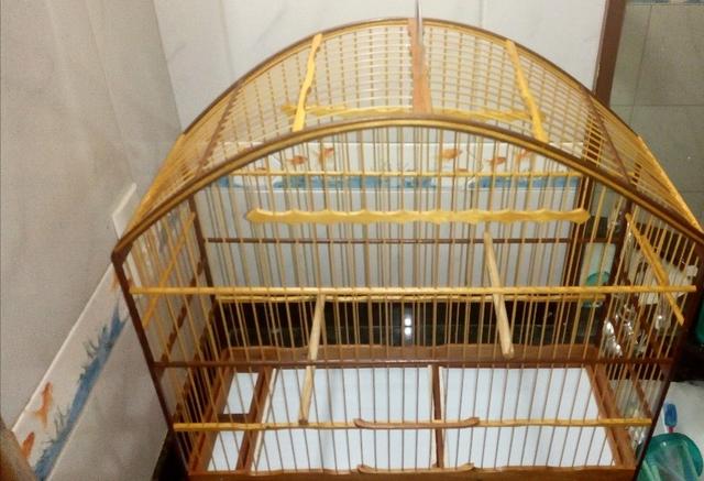 2 Gaiolas grandes 200$