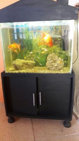 Aquario grande completo bem equipado