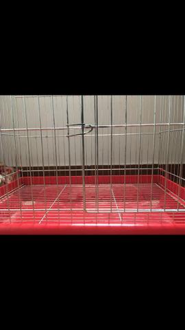 Gaiola para passaros e twister