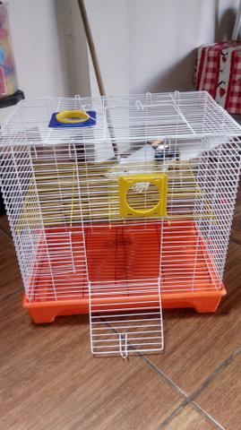 Gaiola para anão russo