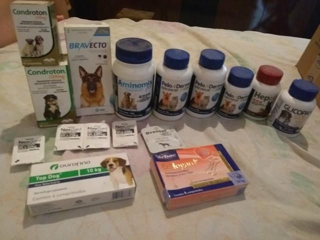 Medicamentos para cães