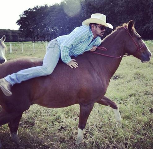 Vendo quarto de milha com defeito na pata! (ele manca um pouco)