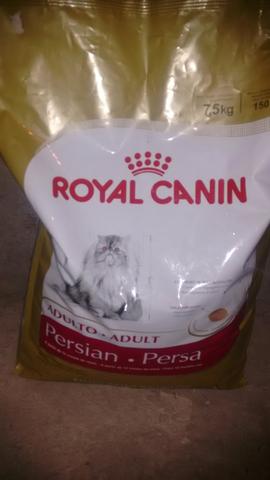 Ração Royal canin gato persa 7,5 kg 