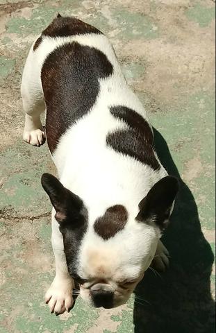 Vendo duas jovens matriz