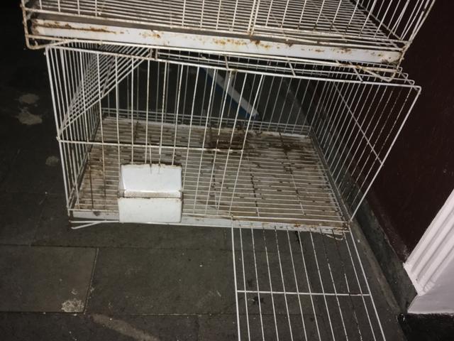 Gaiola de coelhos