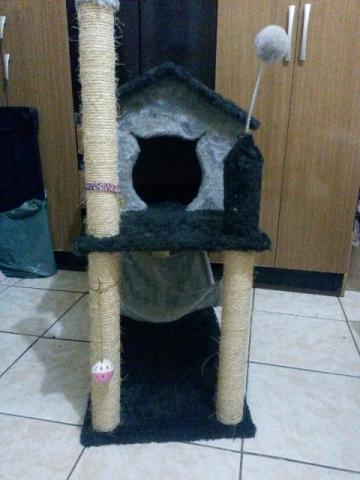 Casa do Gato