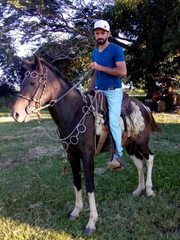 Cavalo M.M Pampa de Preto