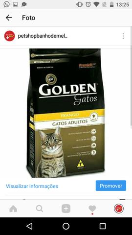 Golden gatos adultos 10kg