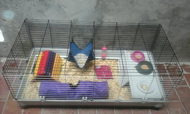 Gaiola grande para coelhos e roedores