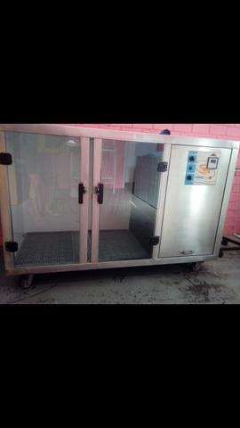 Secadora para petshop