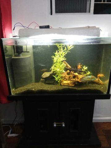 Aquario Completo