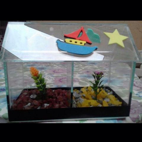 Aquário Novo Sem Uso Com Divisória