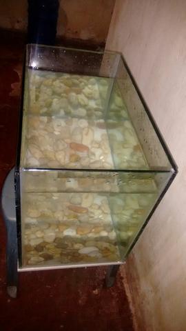 Vendo aquário grande com vidro de 06 mm