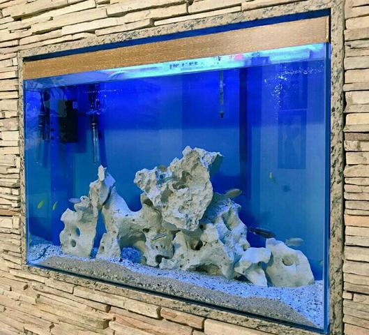 Vendo aquário 244 Litros,vidro 10mm