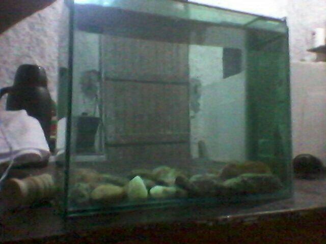 Aquario de 30x20x15