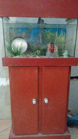 Aquário completo