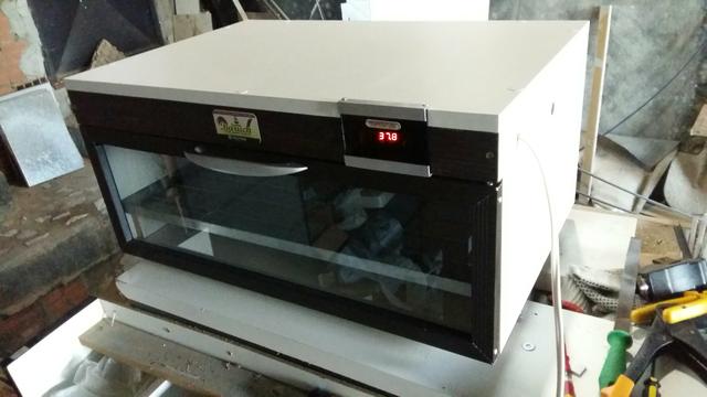 Chocadeira 72 ovos nova Manual