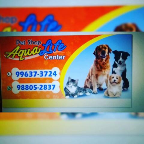 Banho e tosa a domicílio