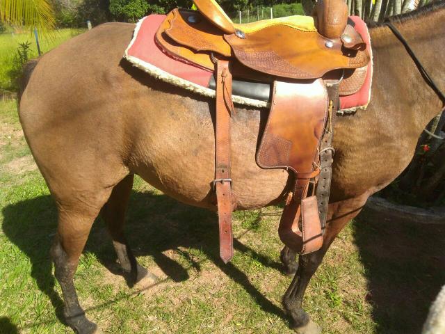 Egua manga-larga+sela